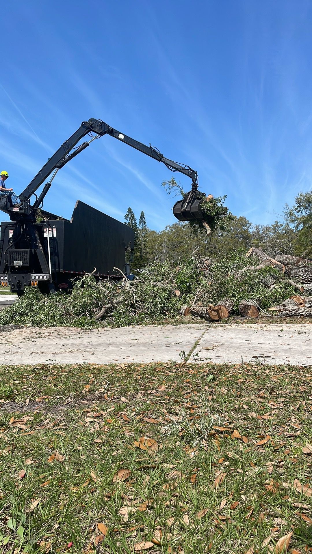 A large truck with a crane arm is loading tree branches onto the bed. Blue sky overhead.