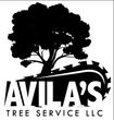 Black silhouette of a tree and a chainsaw blade, with "AVILA'S TREE SERVICE LLC" written below.