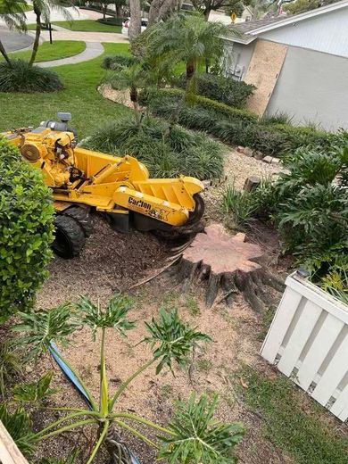 Yellow stump grinder working on a tree stump in a yard with landscaping and a house.