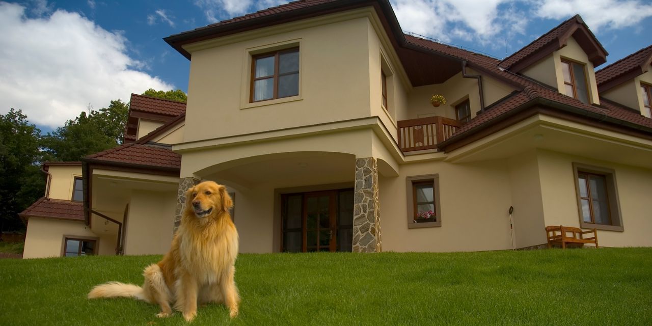 Homes For Sale in Dog Friendly Neighborhoods