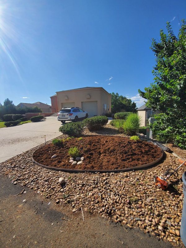 Circular garden bed with mulch, shrubs, and rocks in front of a house.