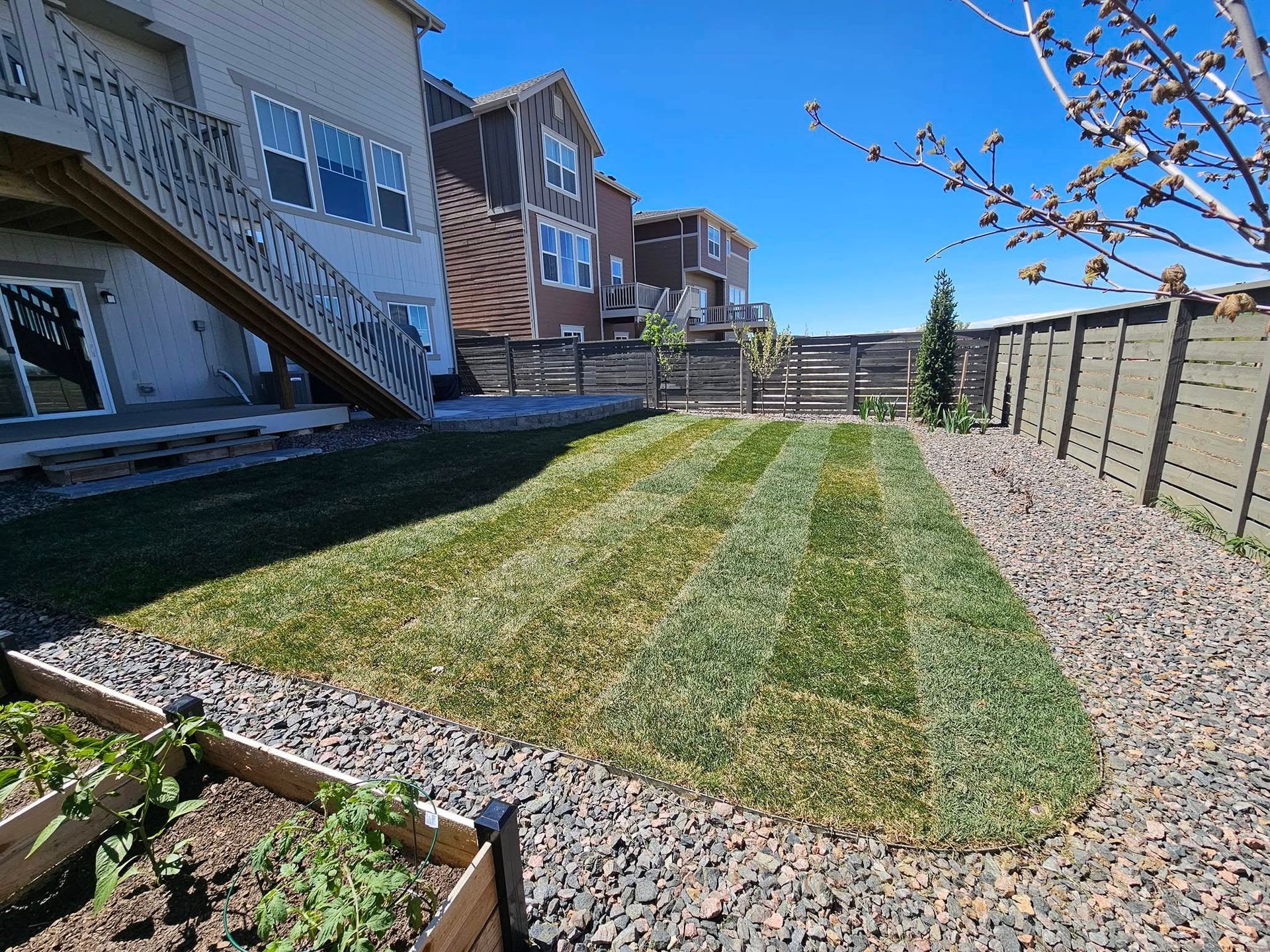 Backyard lawn with fresh mow lines, gravel border, raised garden beds, and two-story house.