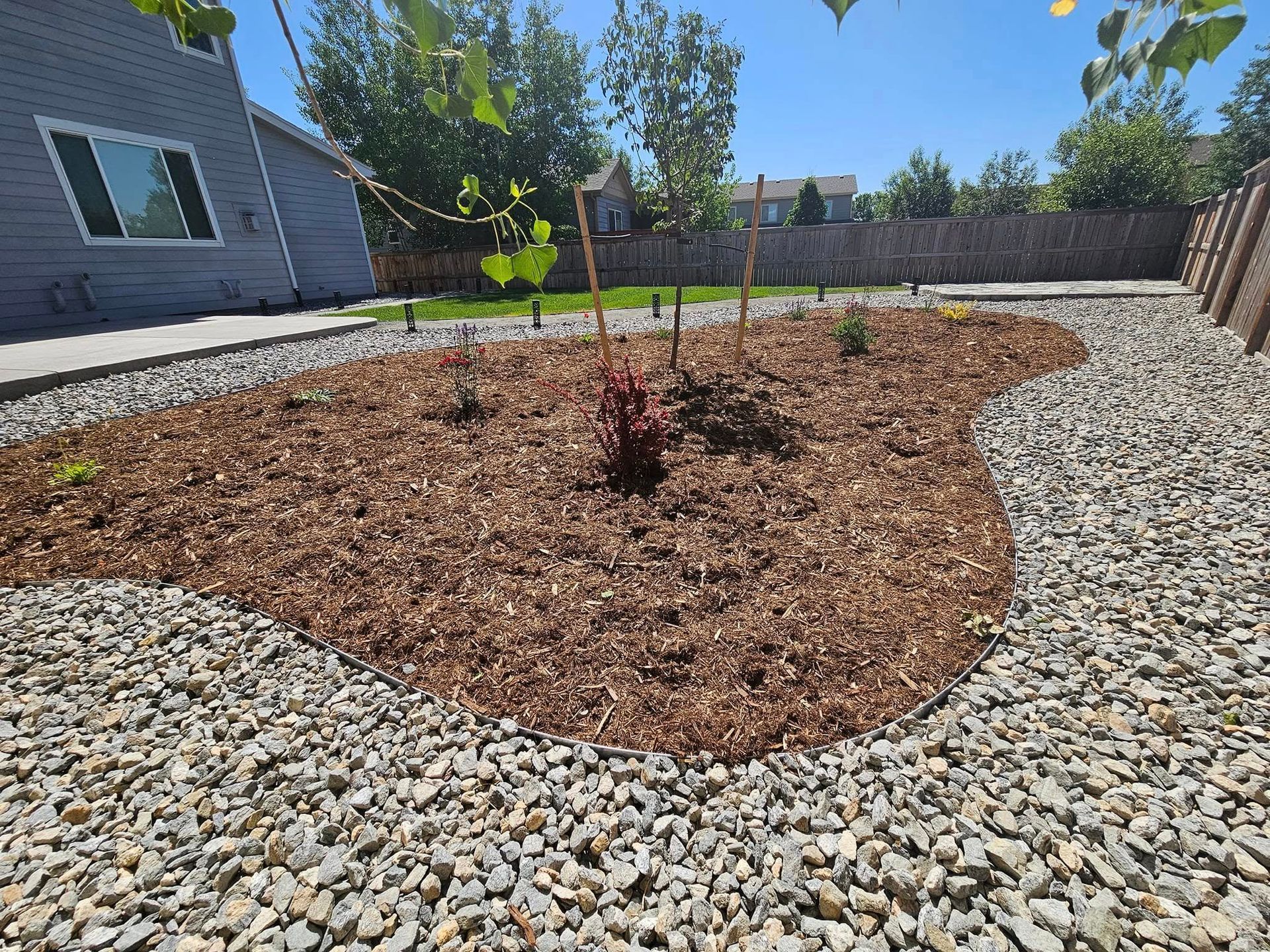 A landscaped backyard with wood chips, gravel, small plants, and a gray house on a sunny day.
