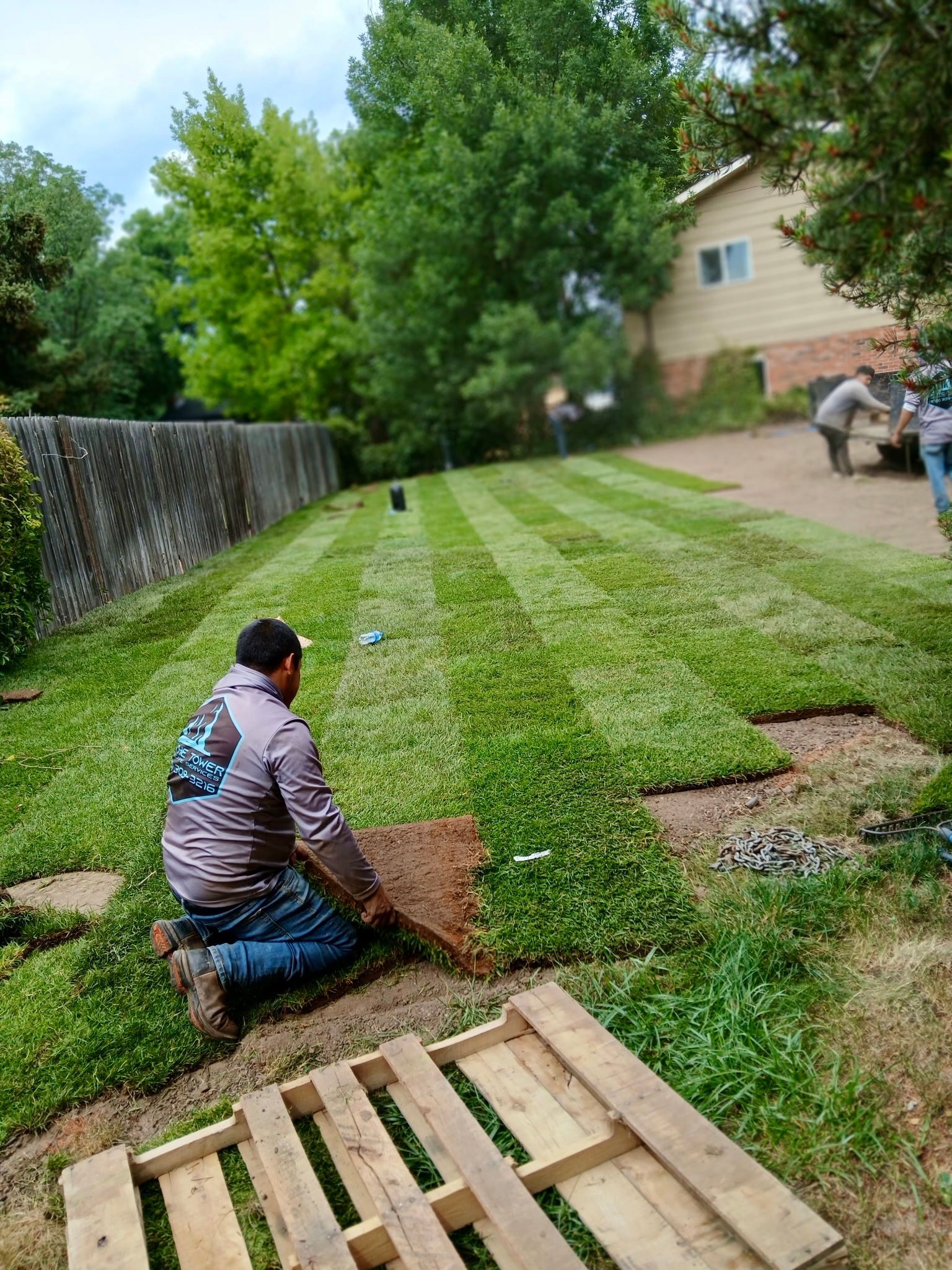 Stacks of rolled sod, ready for transport, with a blue pickup truck in the background on a sunny day.