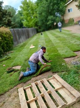 Man laying sod on a lawn with another person in the background; a wooden pallet in the foreground.