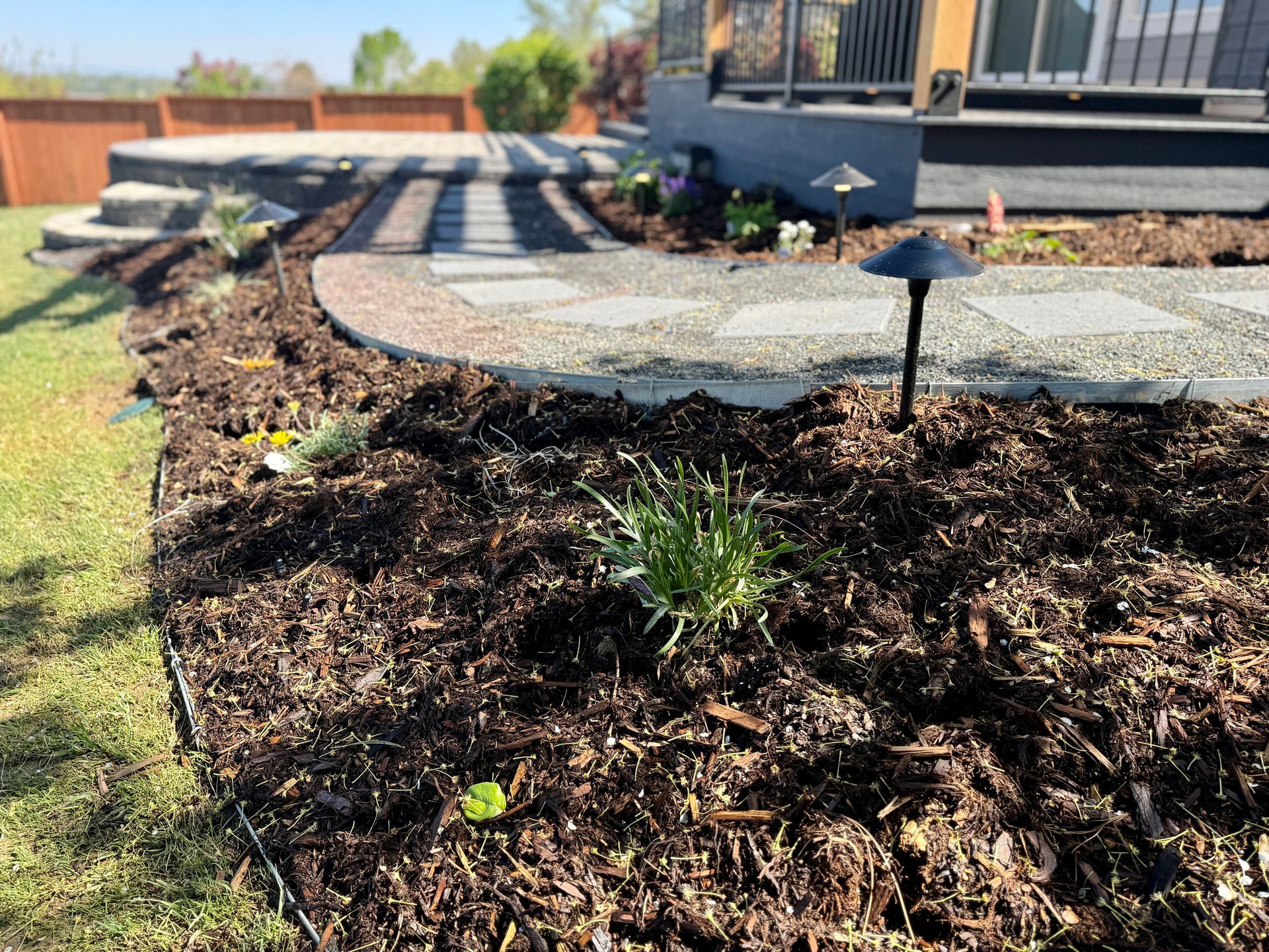 Garden bed with mulch, stone path, and small plant, next to green lawn and wooden deck.