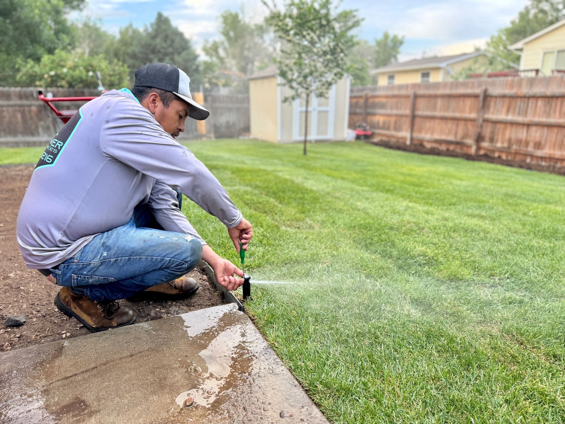 Man adjusting sprinkler head on a green lawn, near a wooden fence and shed.