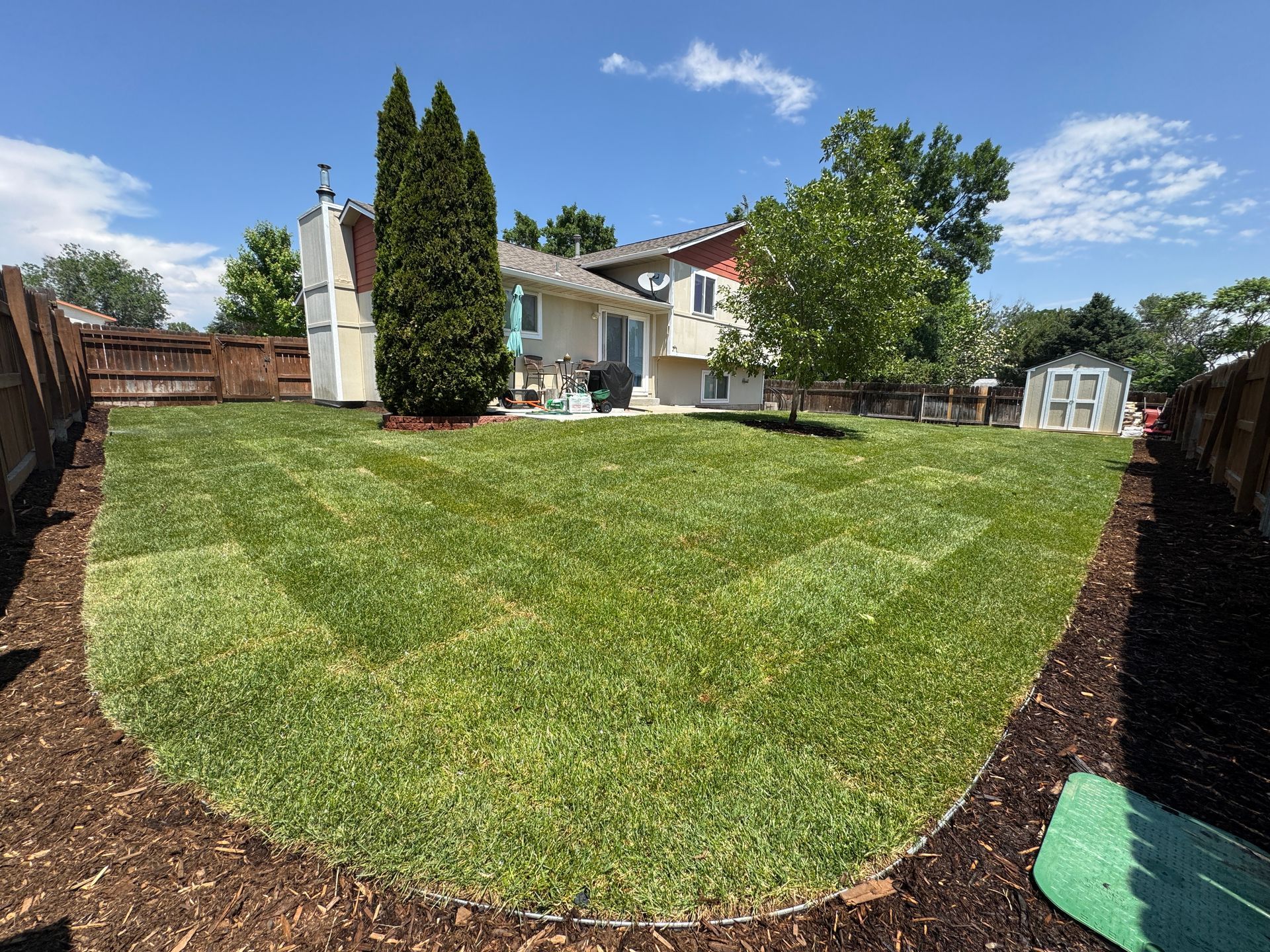 Freshly sodded backyard with a house, trees, and blue sky.