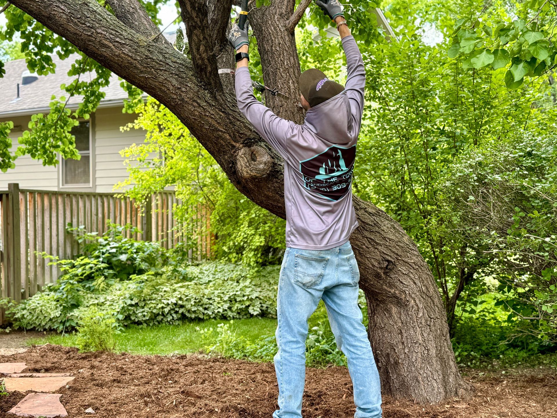 Person pruning a tree in a backyard; wearing gray hoodie, blue jeans, and gloves. Brown mulch ground. Green foliage and fence.