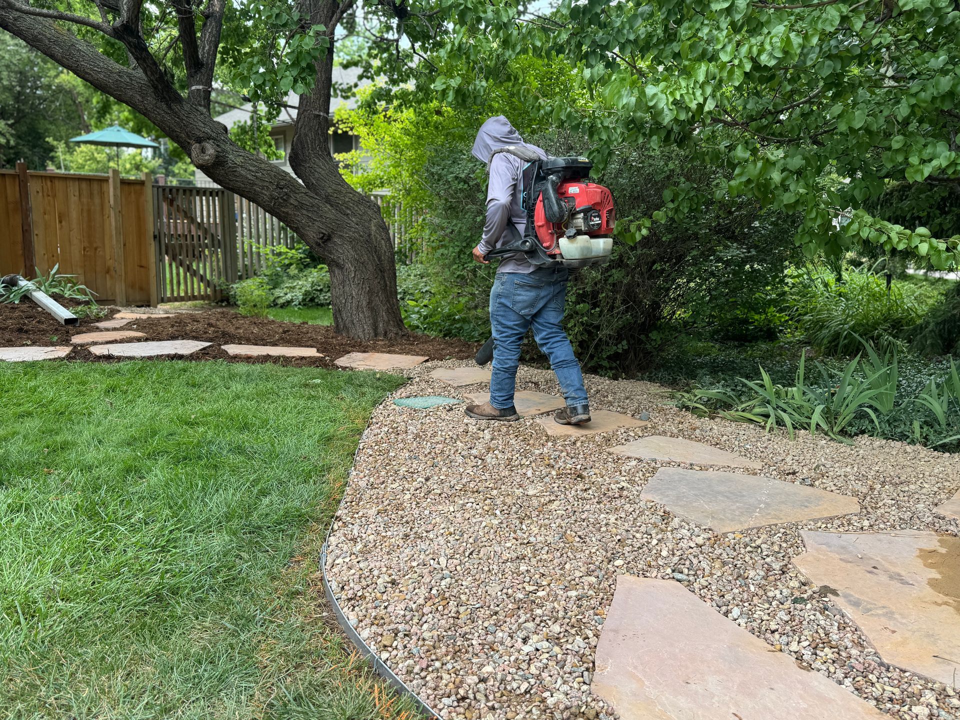 Person using a leaf blower on a gravel path near a tree and a wooden fence.