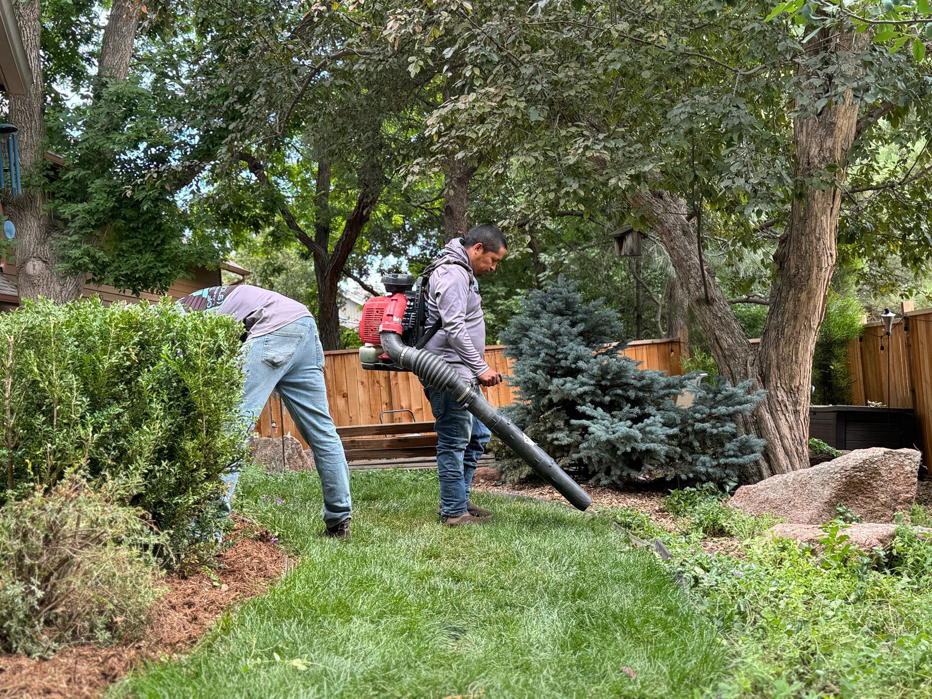 Two people doing yard work; one trims bushes, the other uses a leaf blower in a yard.