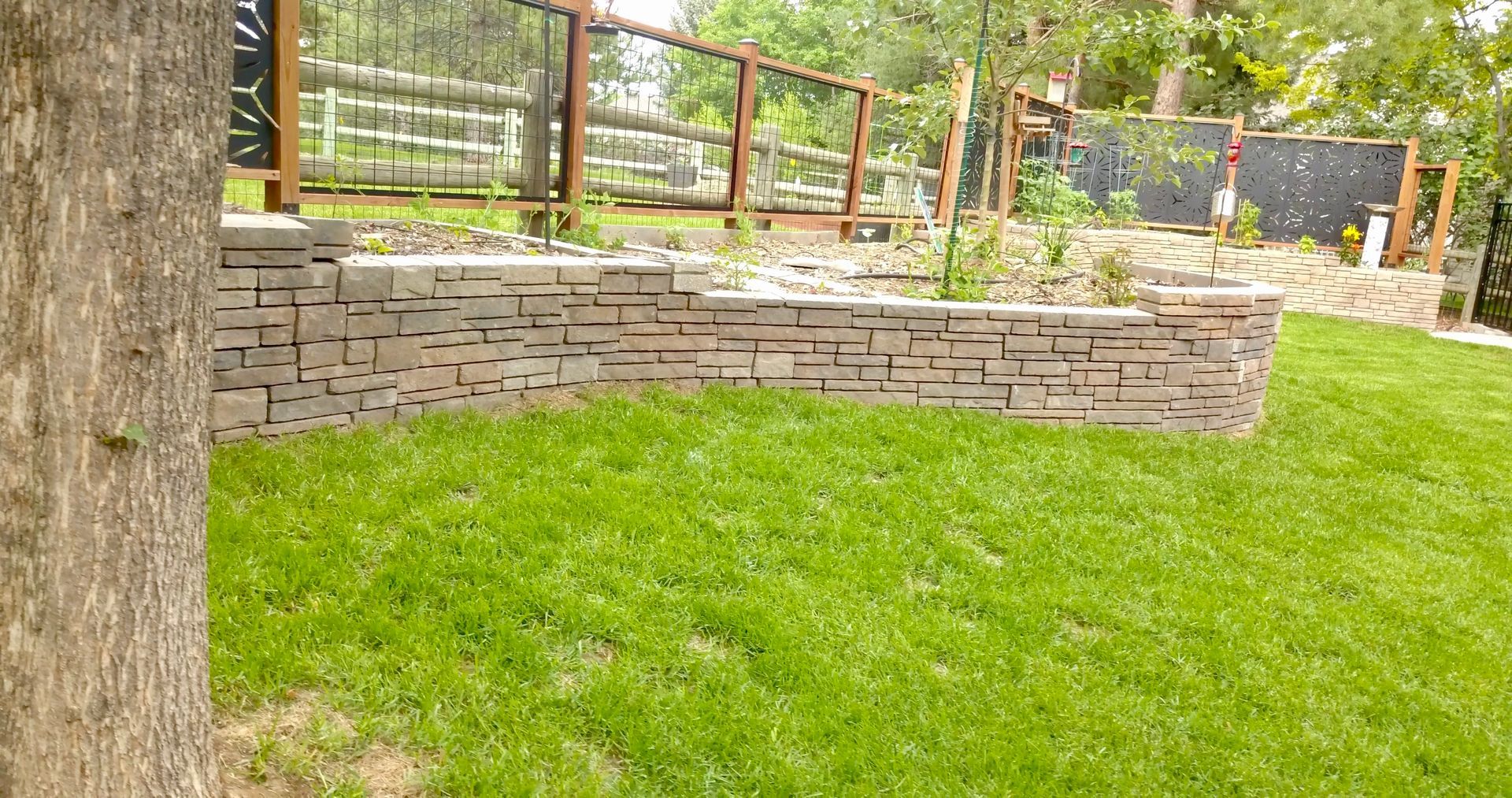 Stone retaining wall in a backyard, with green grass in the foreground and a fence in the background.