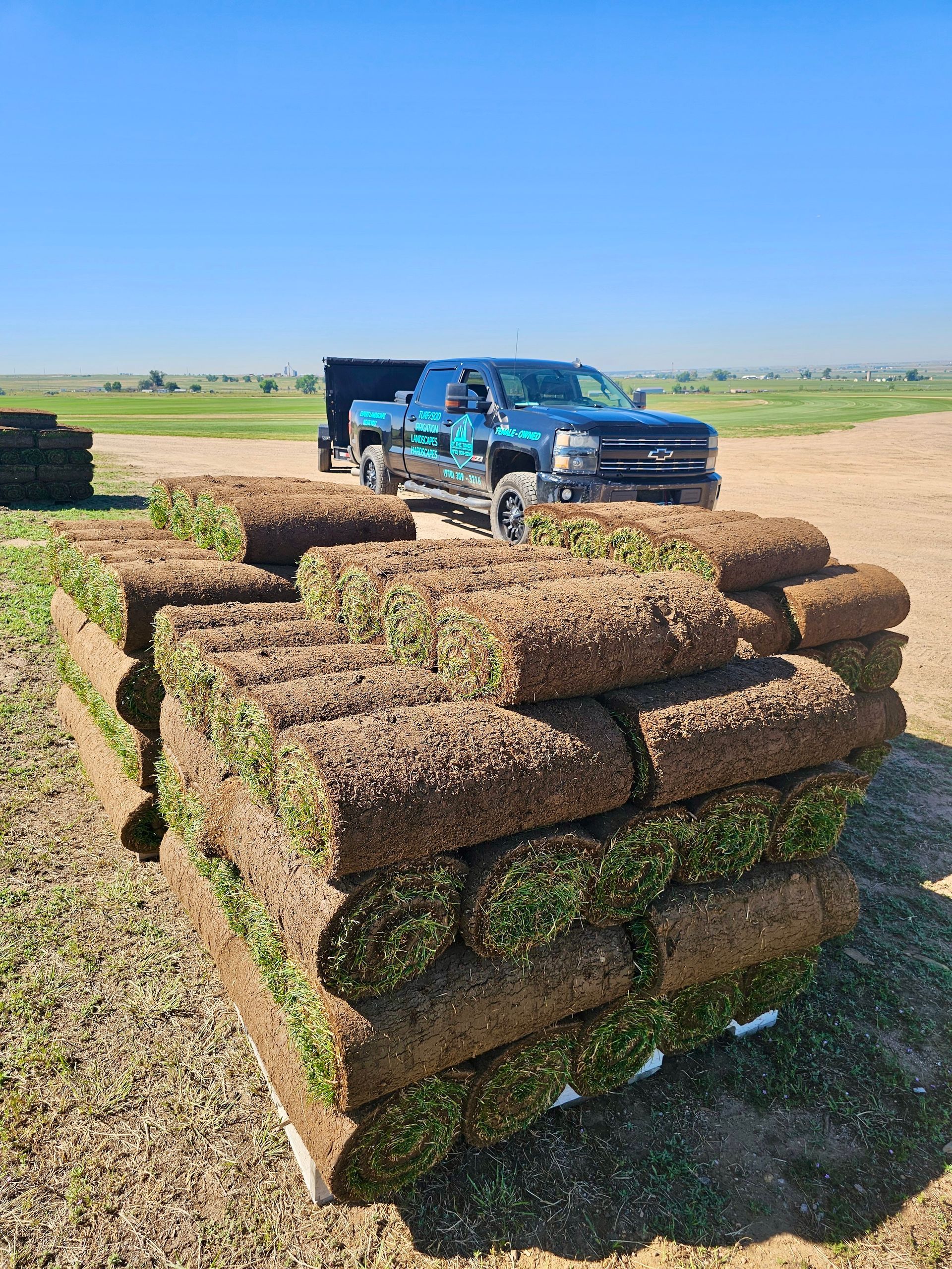 Stacks of rolled sod in front of a blue truck on a field, sunny day.