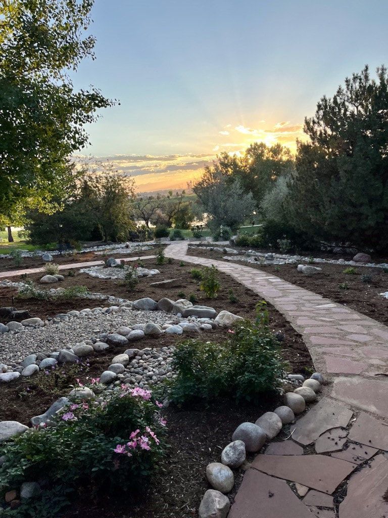 Stone path through a garden at sunset, bordered by rocks and plants.