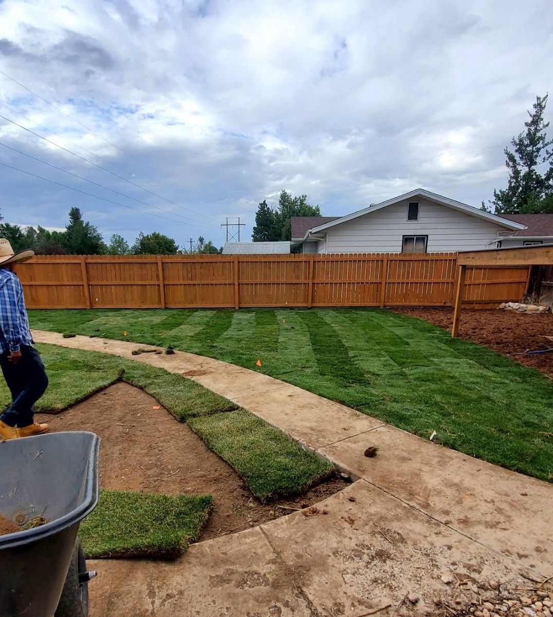 Man laying sod in a backyard with a fresh lawn, wooden fence, and cloudy sky.