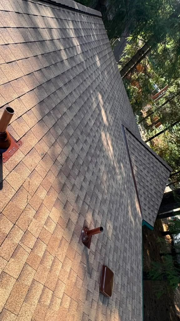 placerville roof replacement