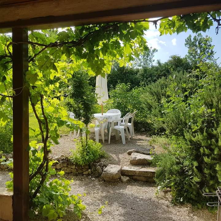 view from a terrace with grape vine looking at garden table and chairs