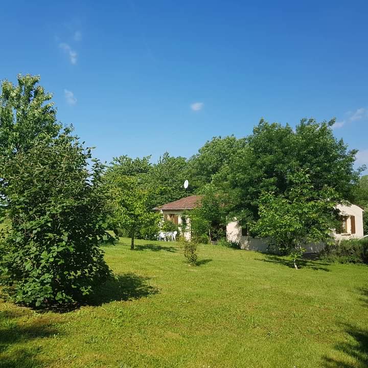large garden with house behind trees