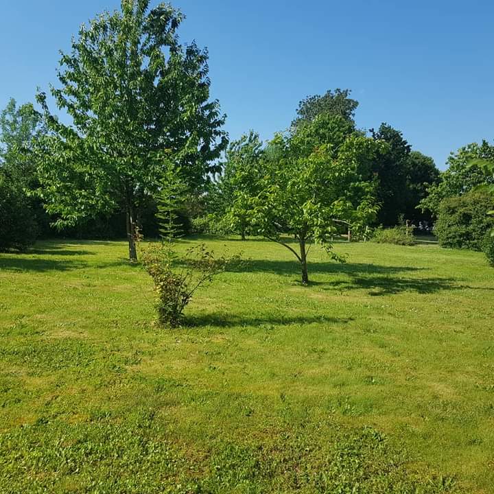 large garden with mowed green grass and fruit trees