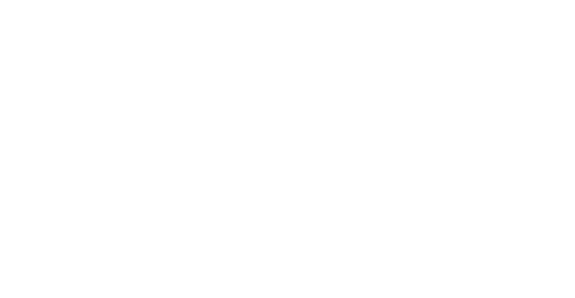 Gutter Services In Georgia Colonial Gutter Solutions