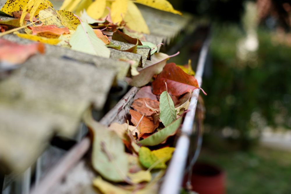 A close up of a gutter filled with leaves.