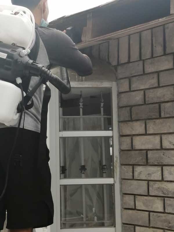 CONTROL DE PLAGAS MORDEL