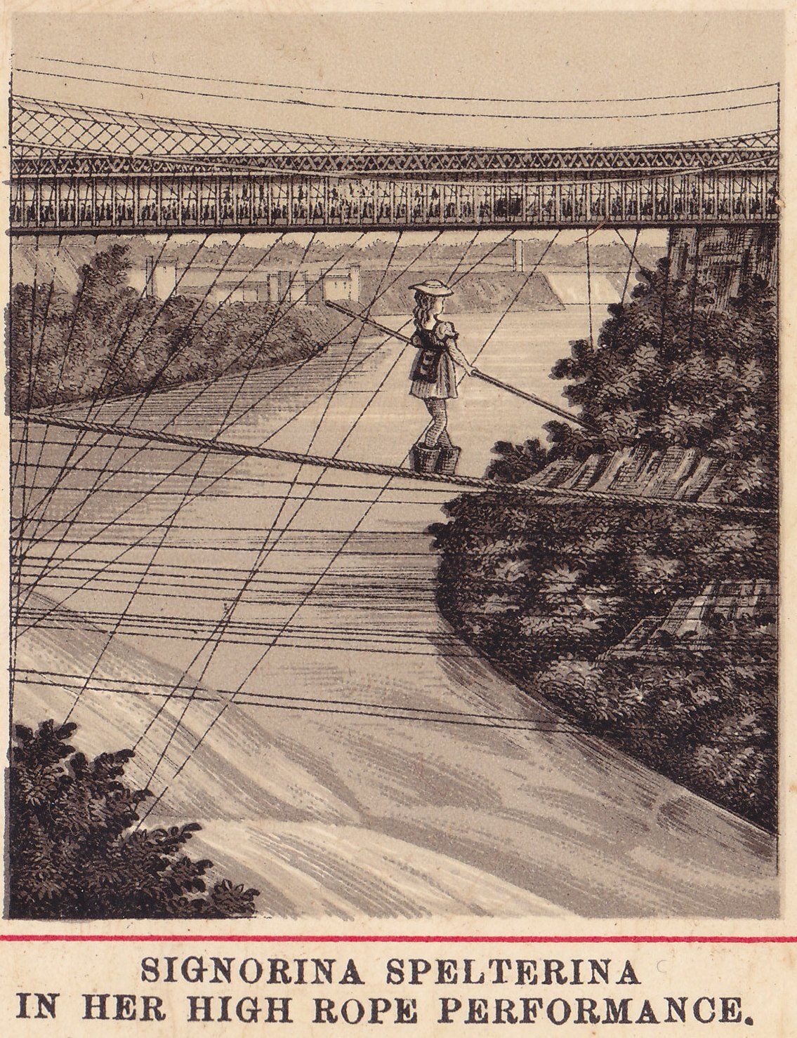 SIGNORINA SPELTERINA IN HER HIGH ROPE PERFORMANCE.