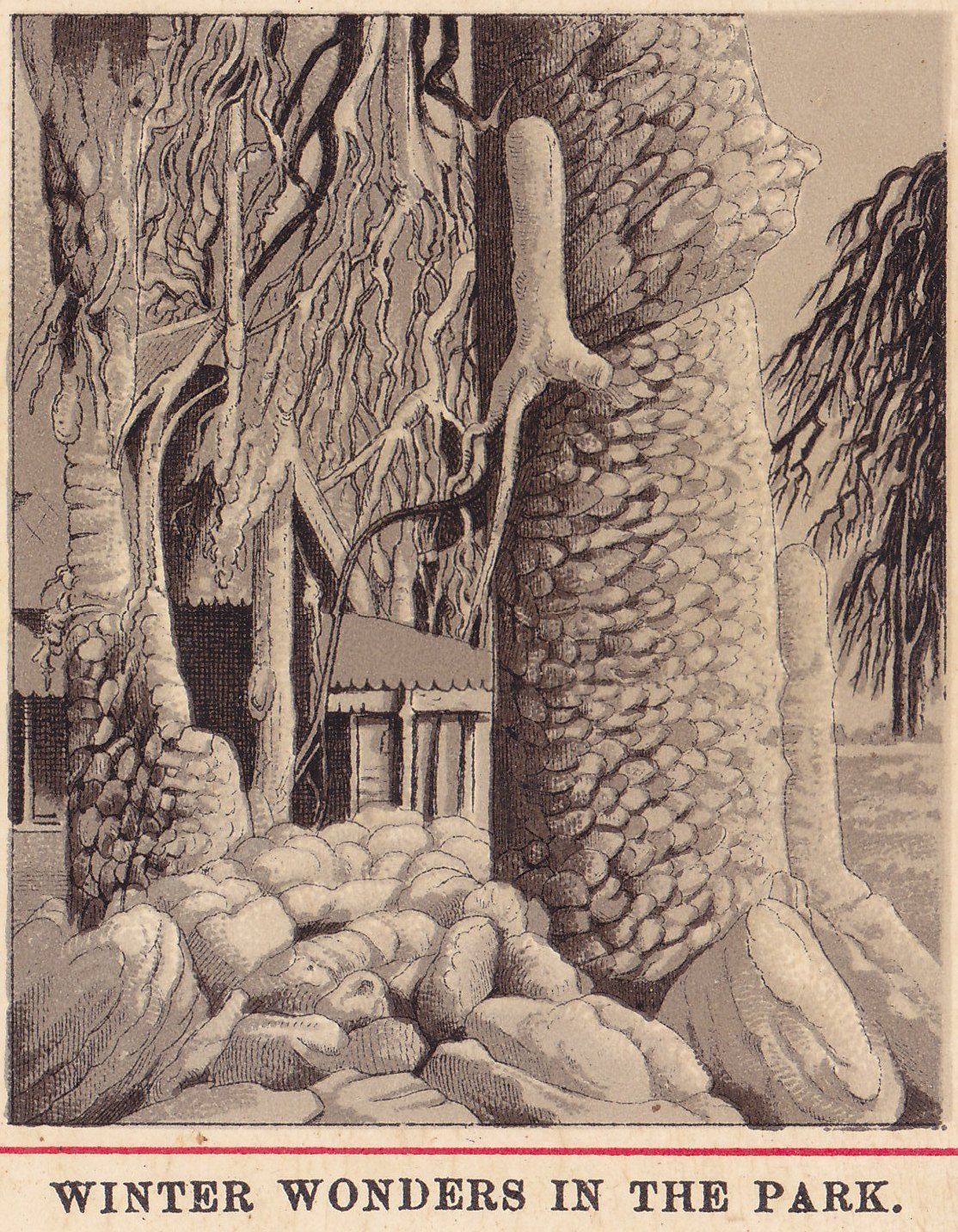 WINTER WONDERS IN THE PARK.