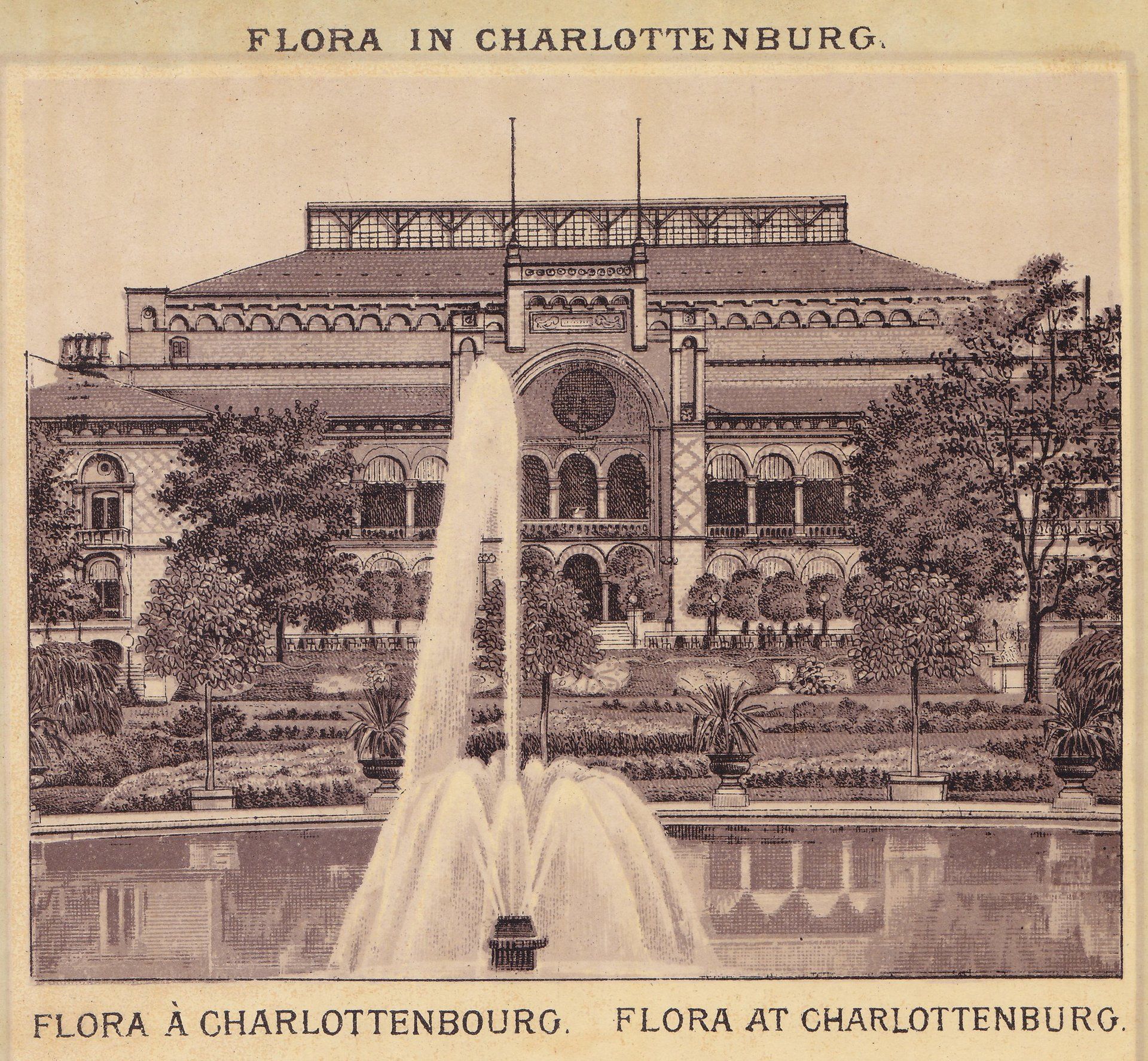 FLORA IN CHARLOTTENBURG. FLORA A CHARLOTTENBOURG. FLORA AT CHARLOTTENBURG.