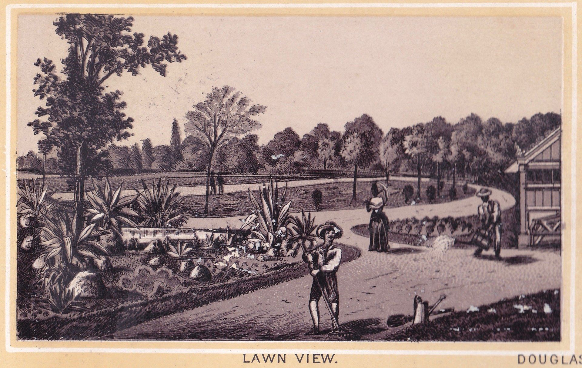 DOUGLASS PARK. LAWN VIEW.