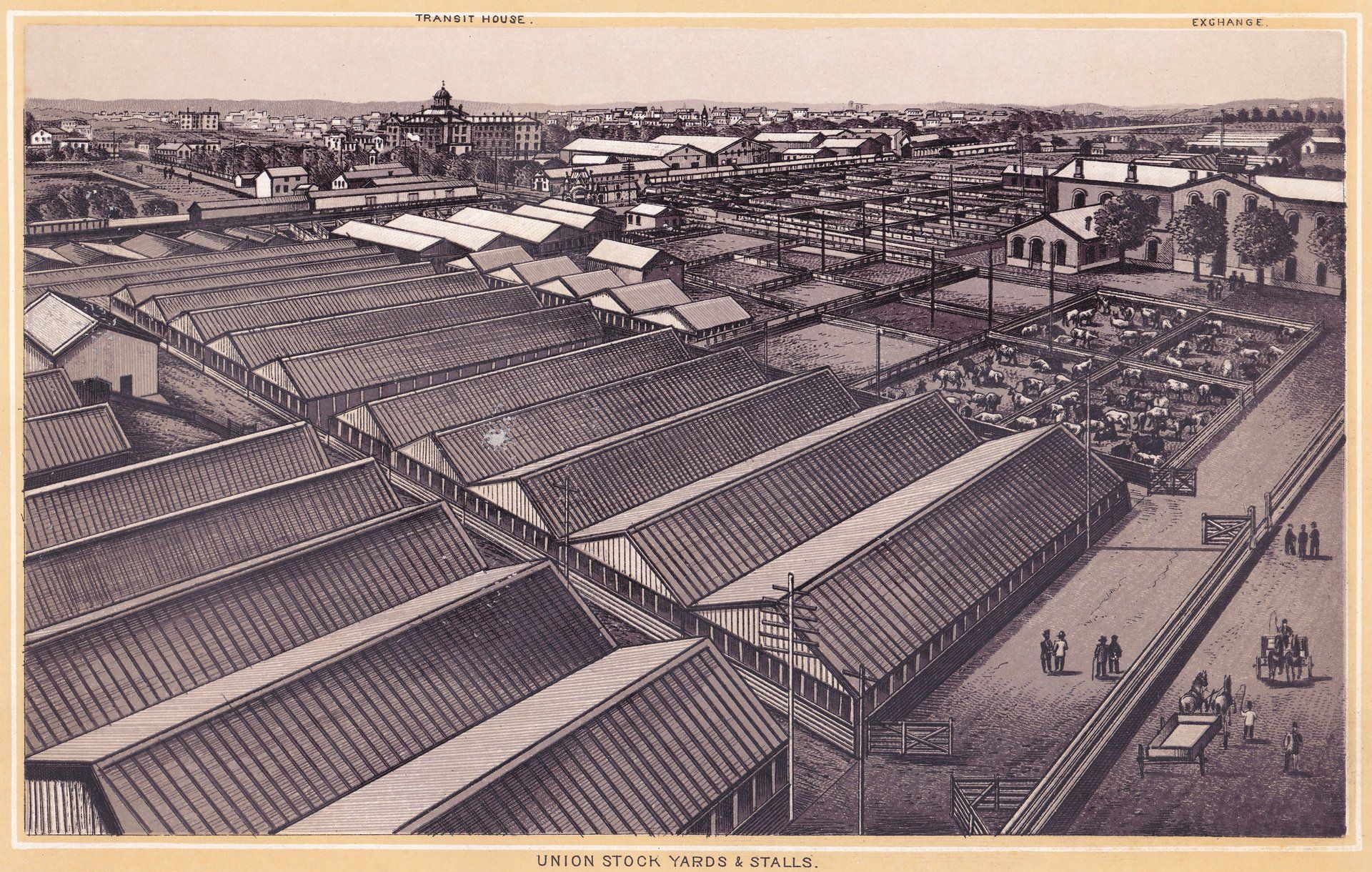UNION STOCK YARDS & STALLS.