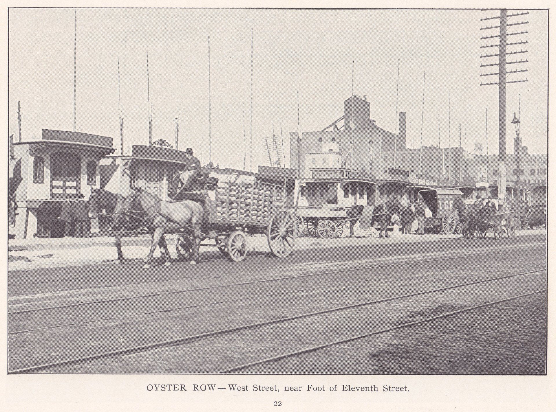 OYSTER ROW - West Street, near Foot of Eleventh Street.