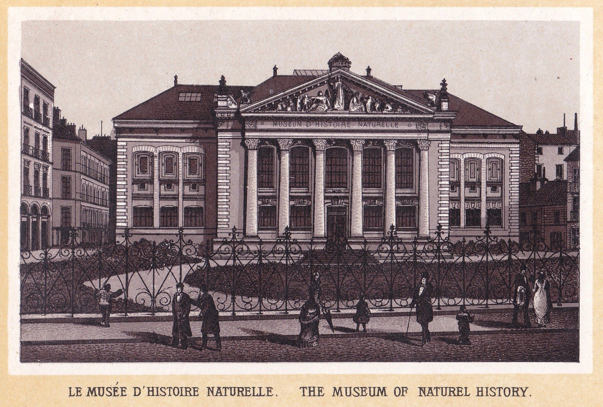 LE MUSÉE D'HISTOIRE NATURELLE. THE MUSEUM OF NATUREL HISTORY.