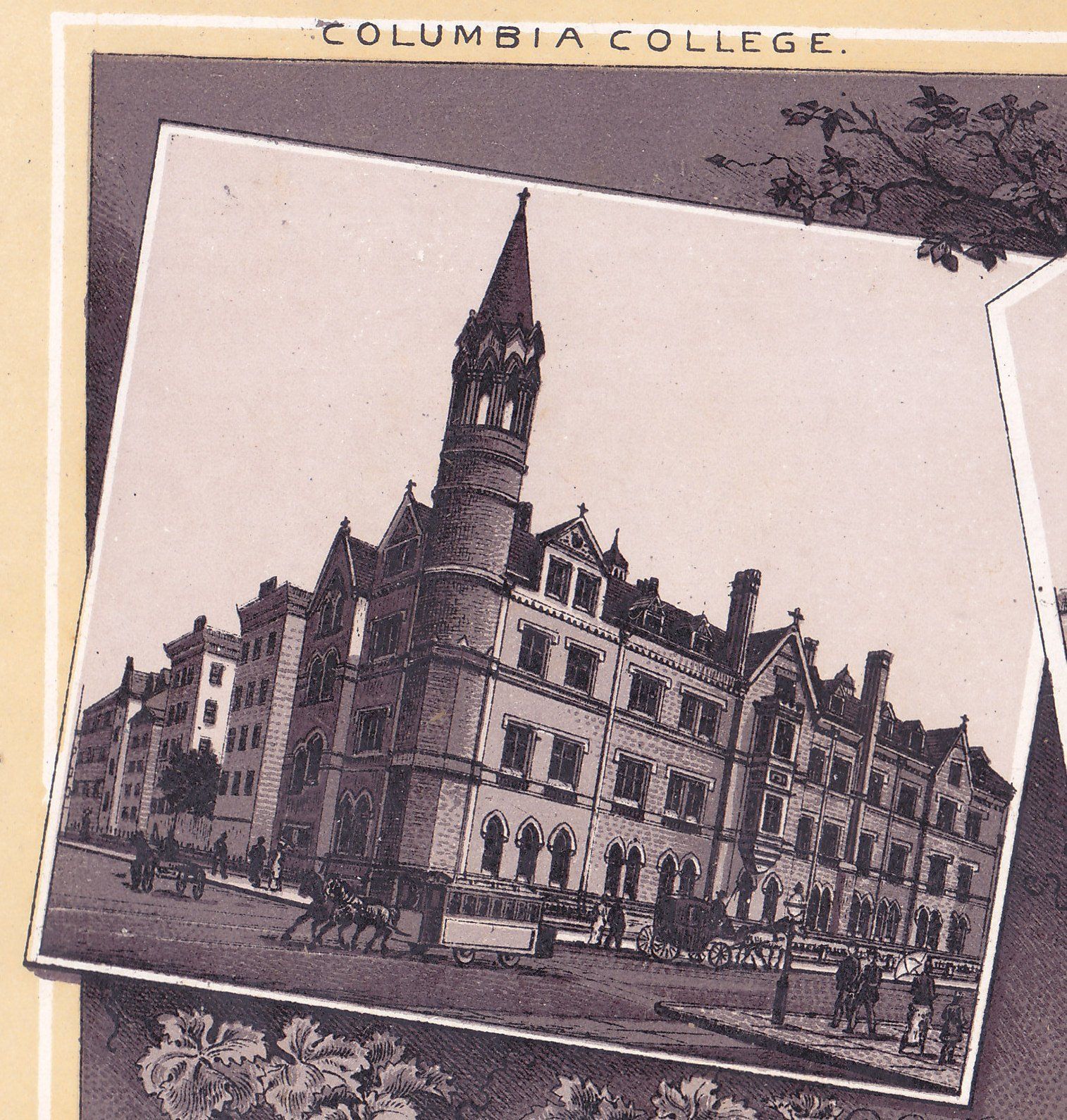 COLUMBIA COLLEGE.
