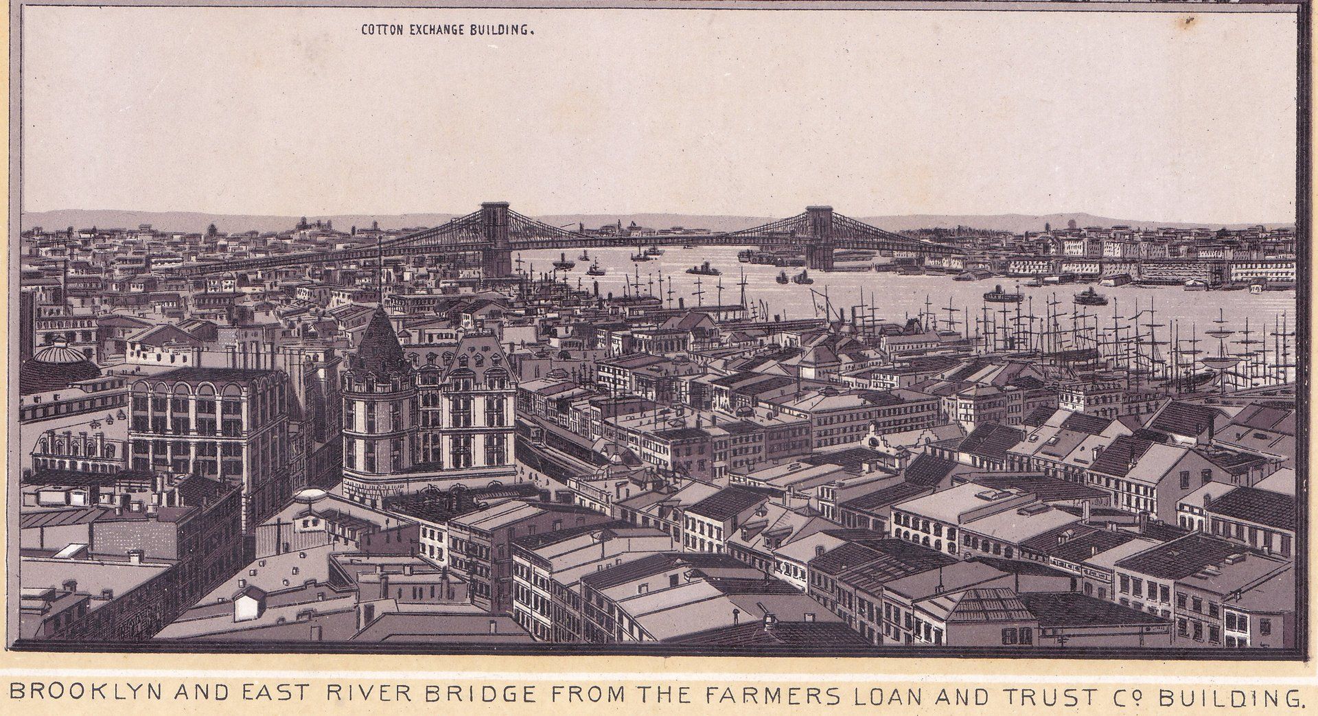 BROOKLYN AND EAST RIVER BRIDGE FROM THE FARMERS LOAN AND TRUST CO. BUILDING.  COTTON EXCHANGE BUILDING.