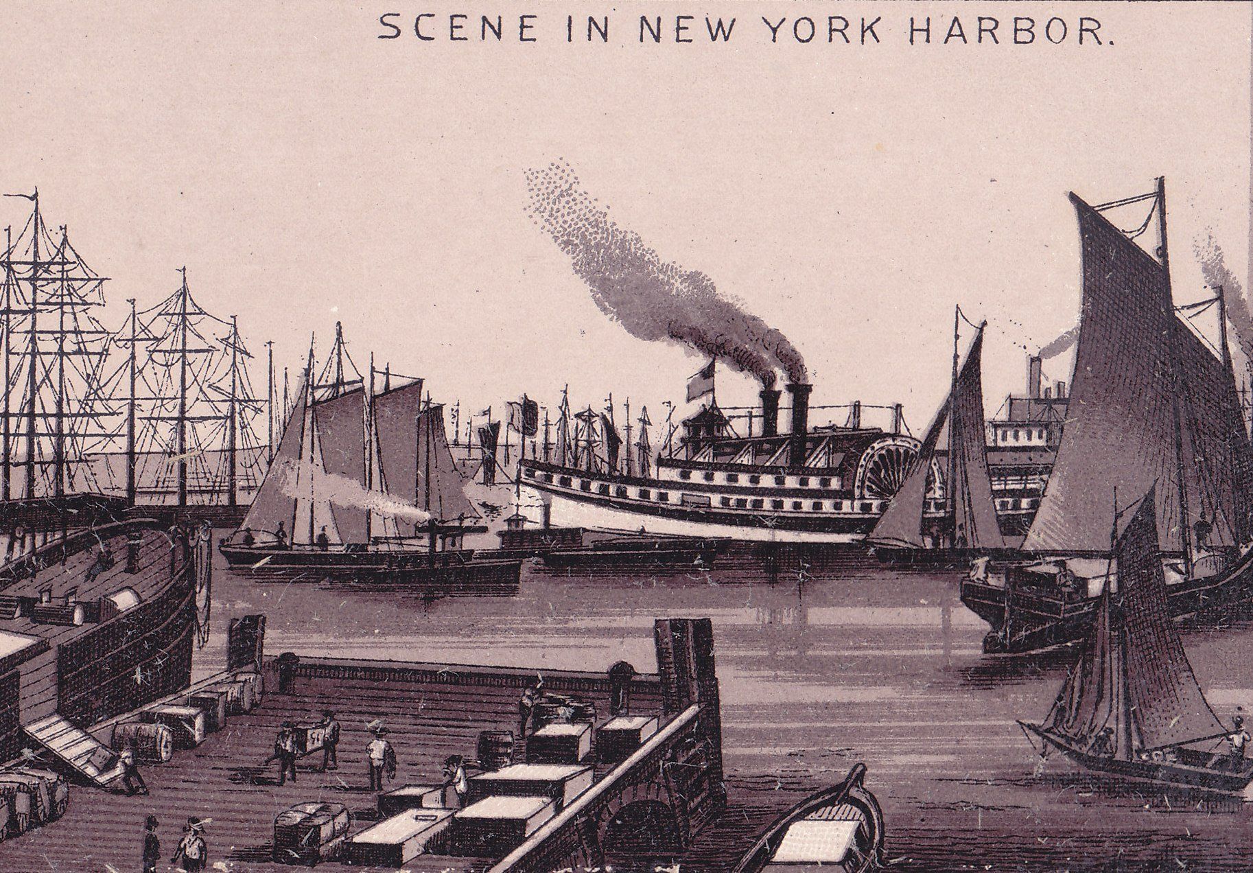 SCENE IN NEW YORK HARBOR.