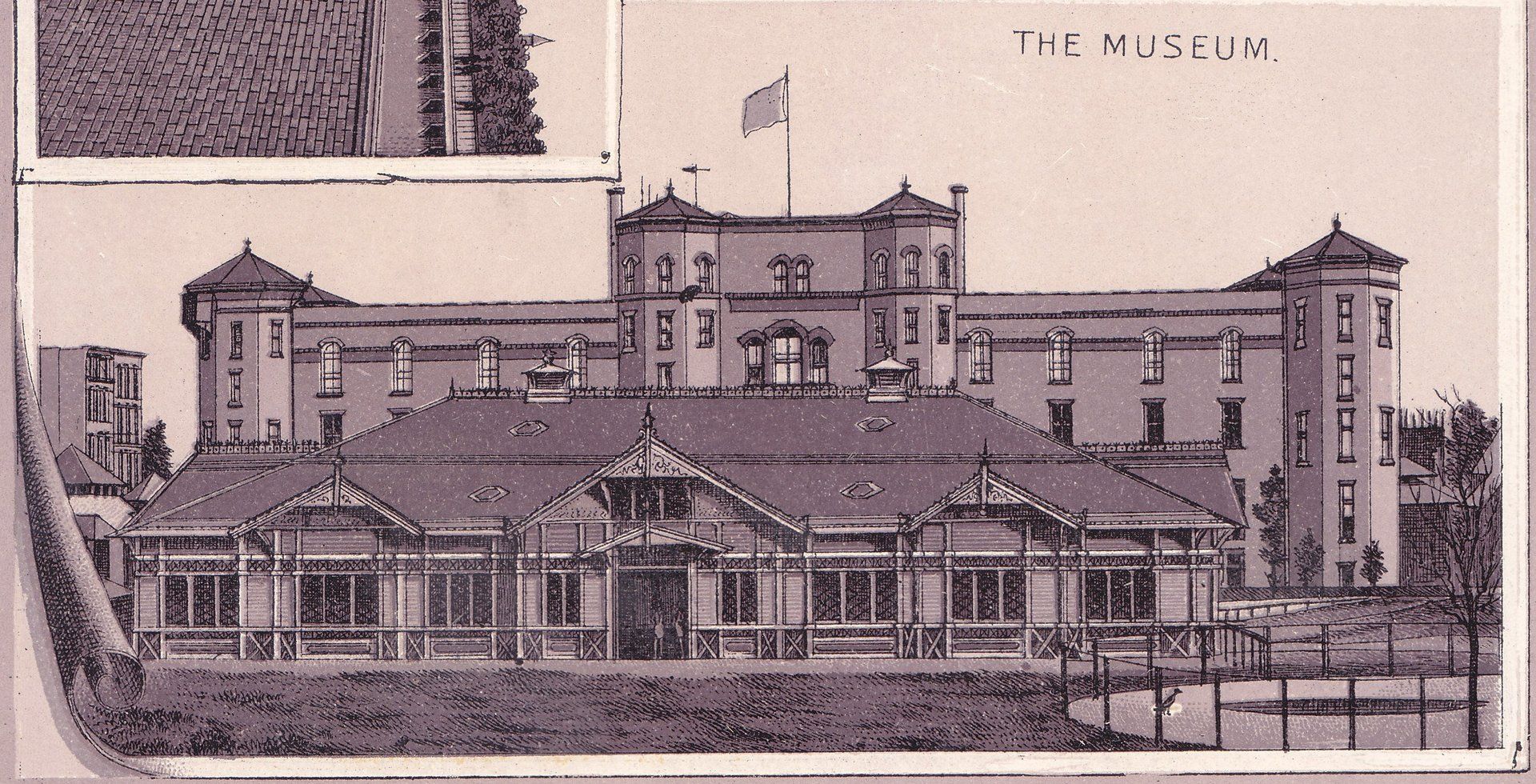 CENTRAL PARK. THE MUSEUM.