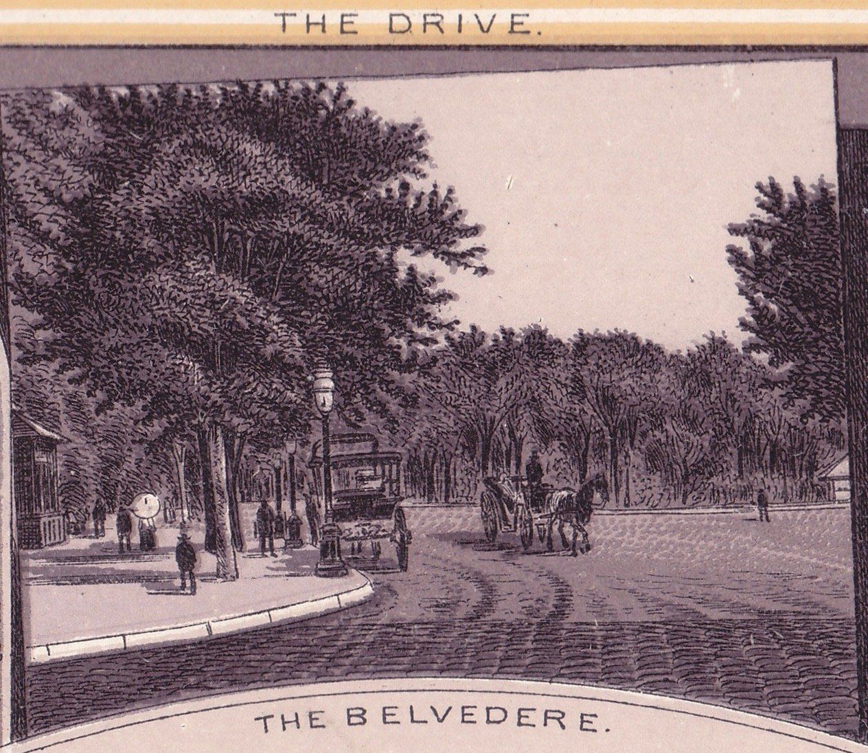 CENTRAL PARK. THE DRIVE.