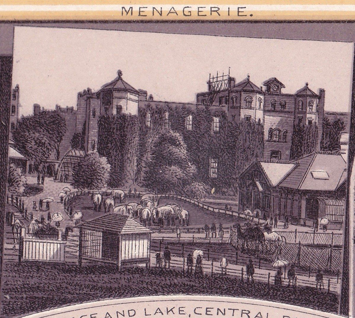 CENTRAL PARK. MENAGERIE.