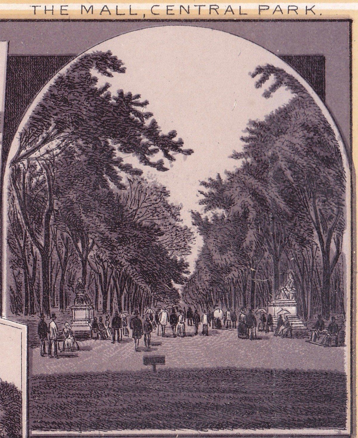 CENTRAL PARK. THE MALL, CENTRAL PARK.