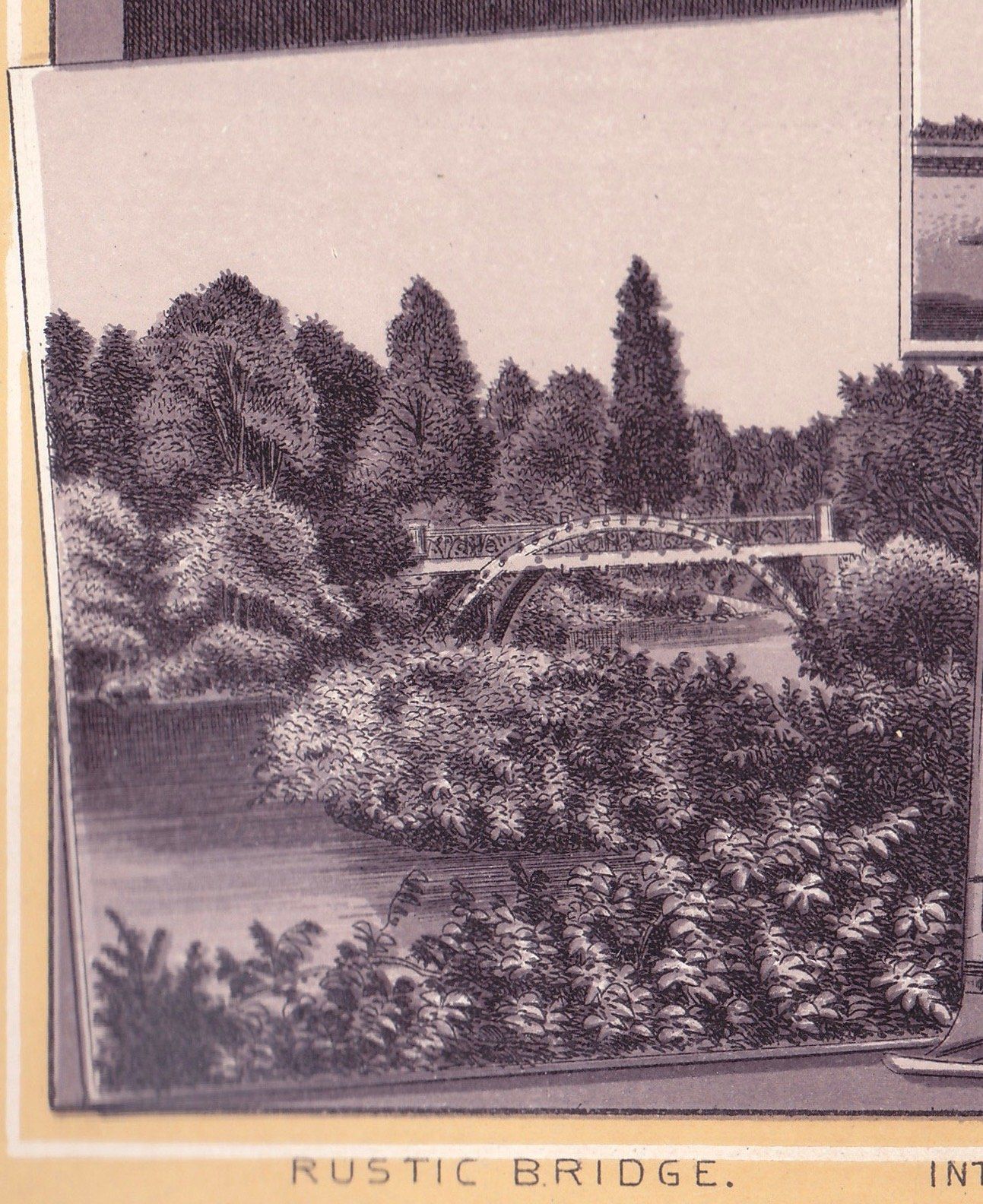 CENTRAL PARK. RUSTIC BRIDGE.