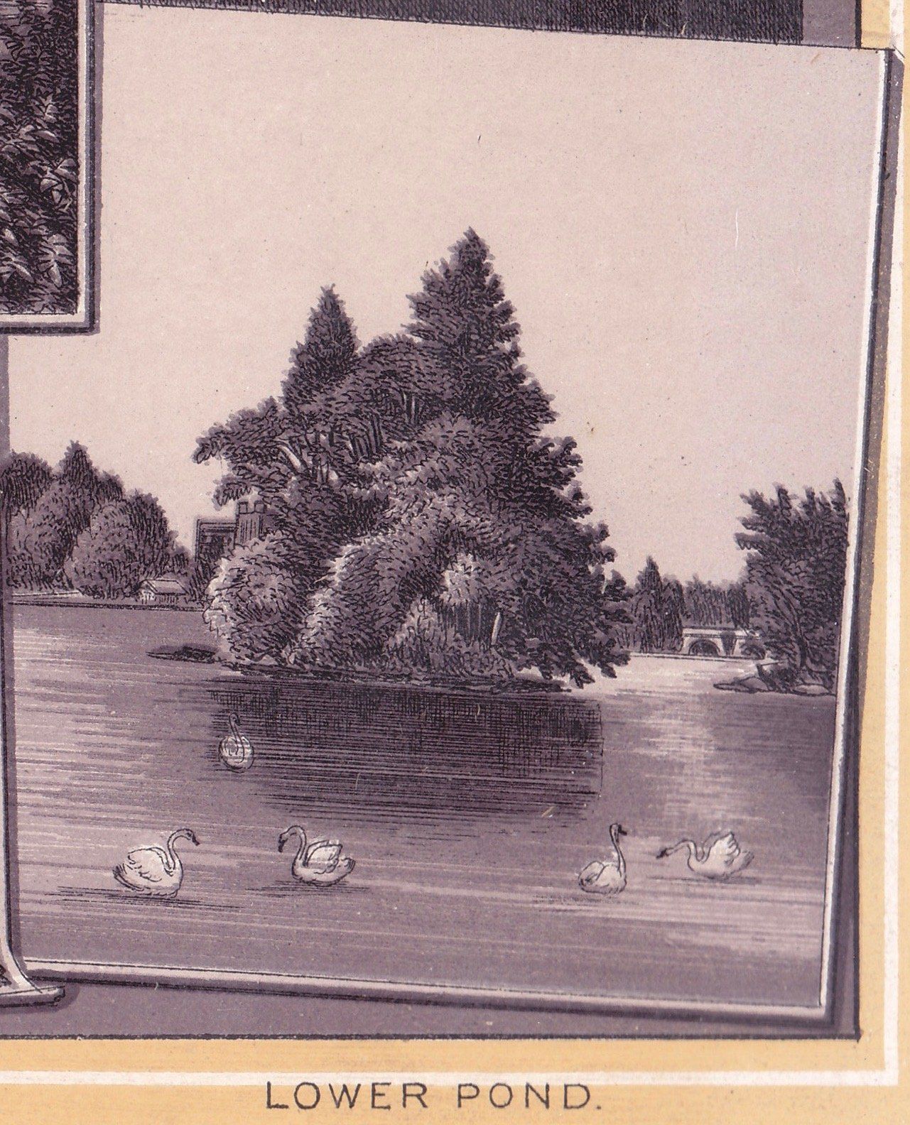 CENTRAL PARK. LOWER POND.