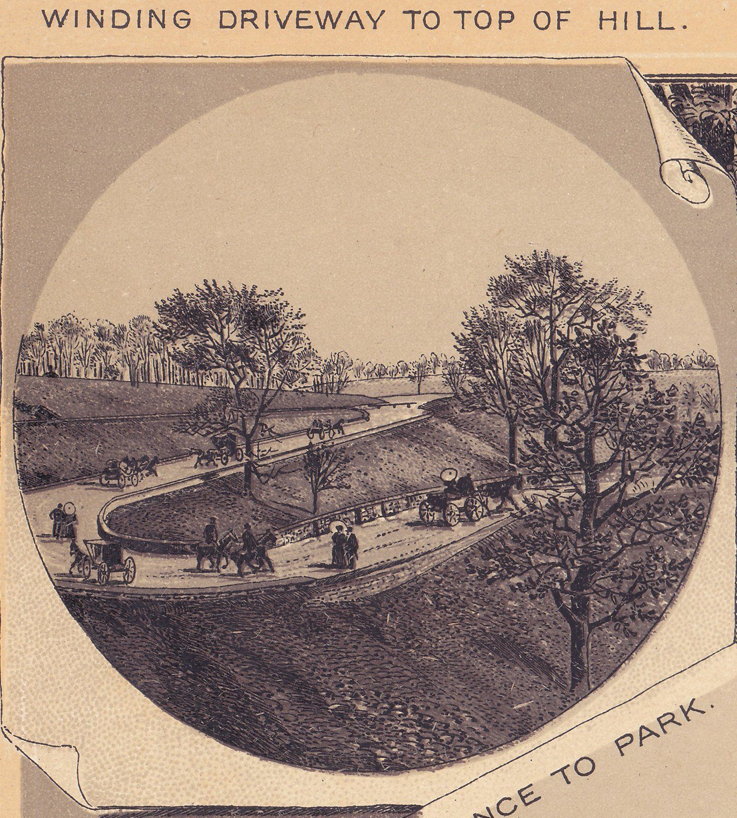 VIEWS IN SCHENLEY PARK. WINDING DRIVEWAY TO TOP OF HILL.
