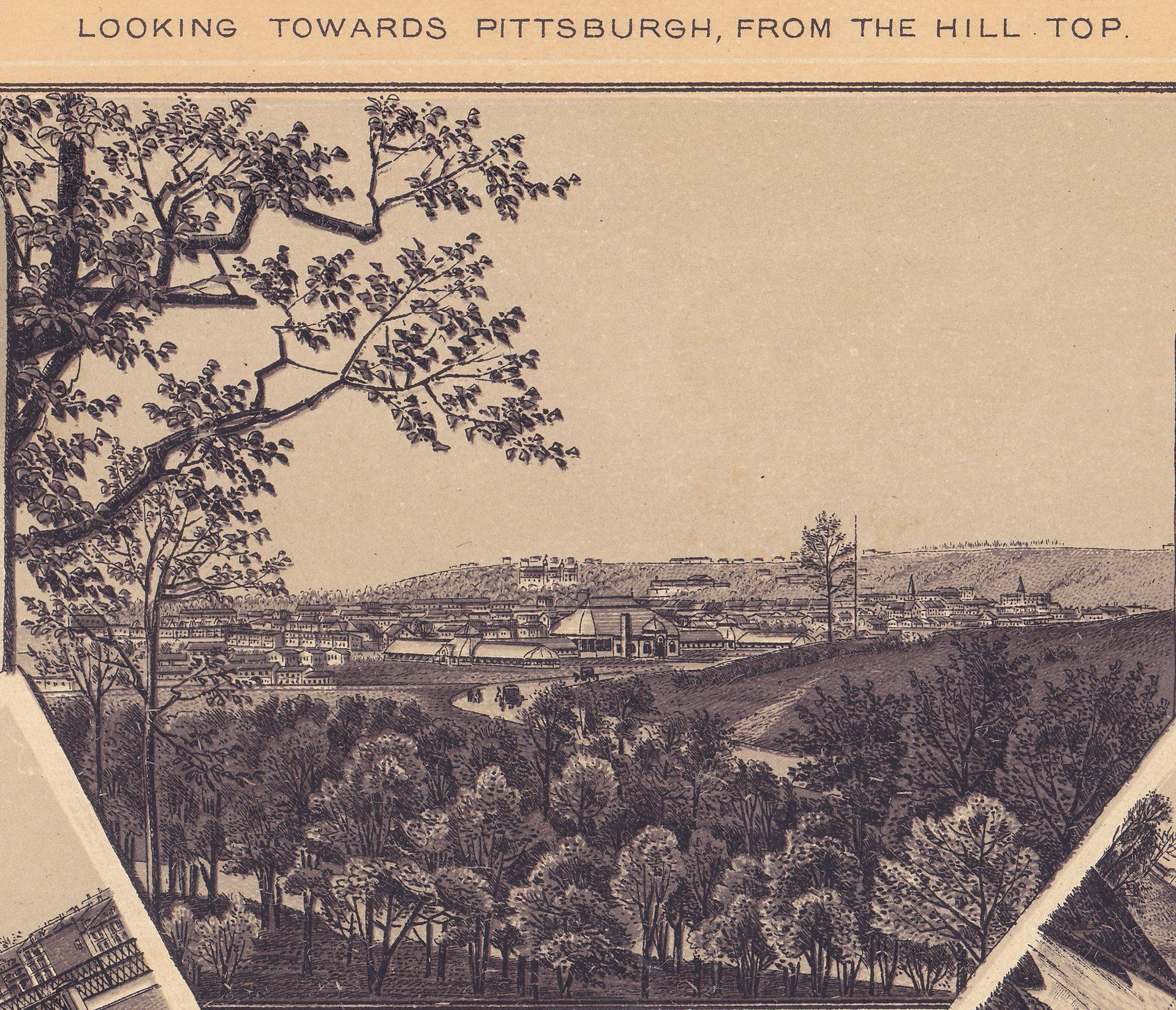 VIEWS IN SCHENLEY PARK. LOOKING TOWARDS PITTSBURGH, FROM THE HILL TOP.