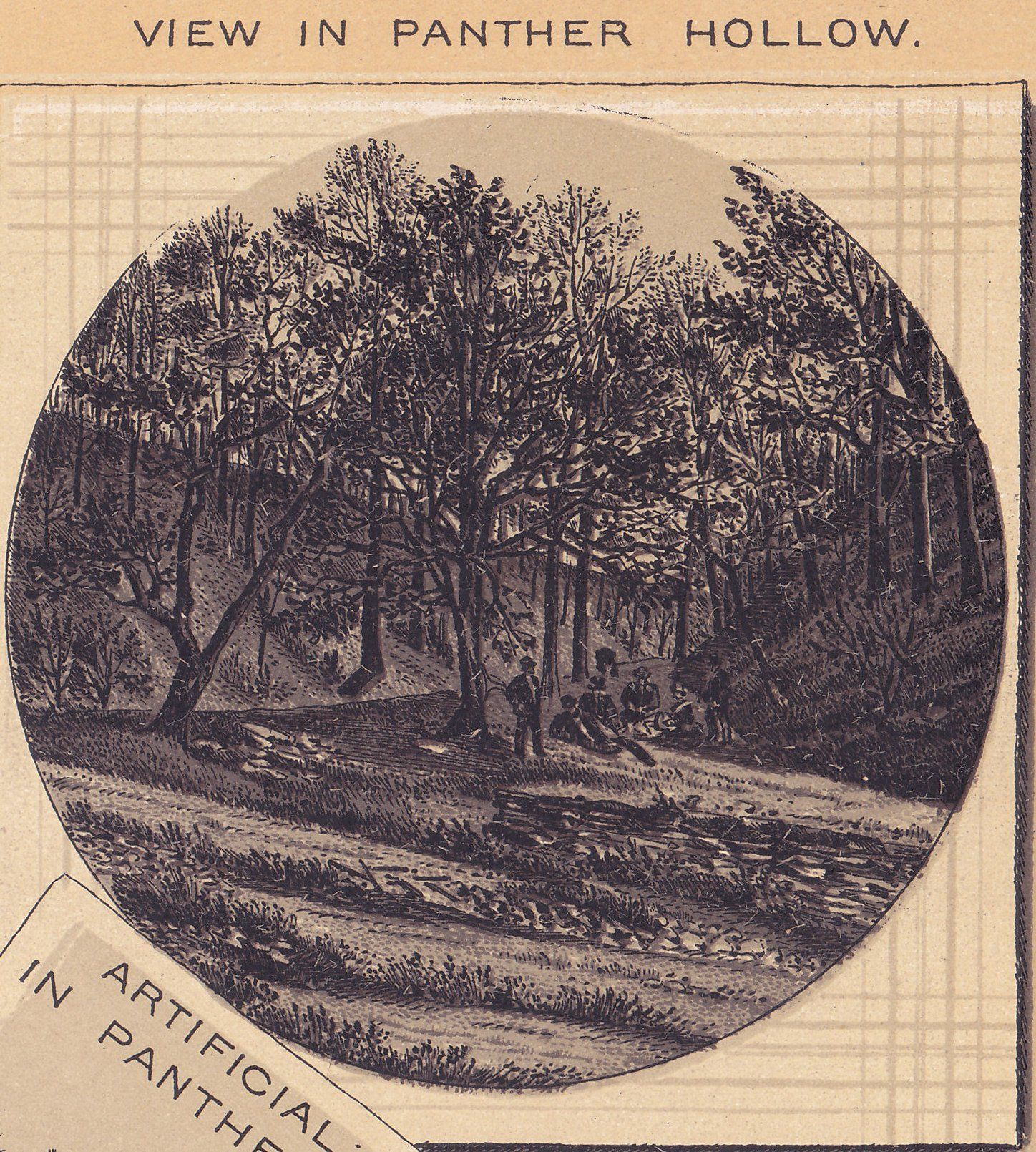 VIEWS IN SCHENLEY PARK. VIEW IN PANTHER HOLLOW.