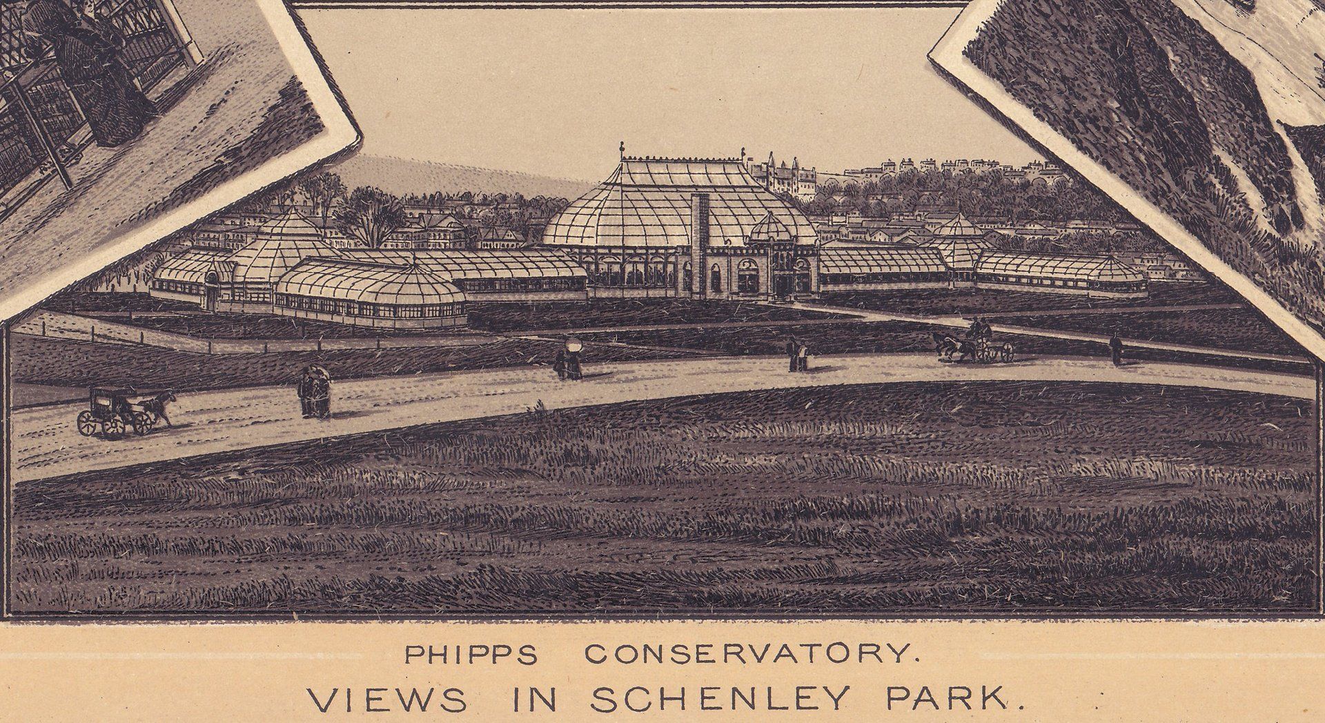 VIEWS IN SCHENLEY PARK. PHIPPS CONSERVATORY.