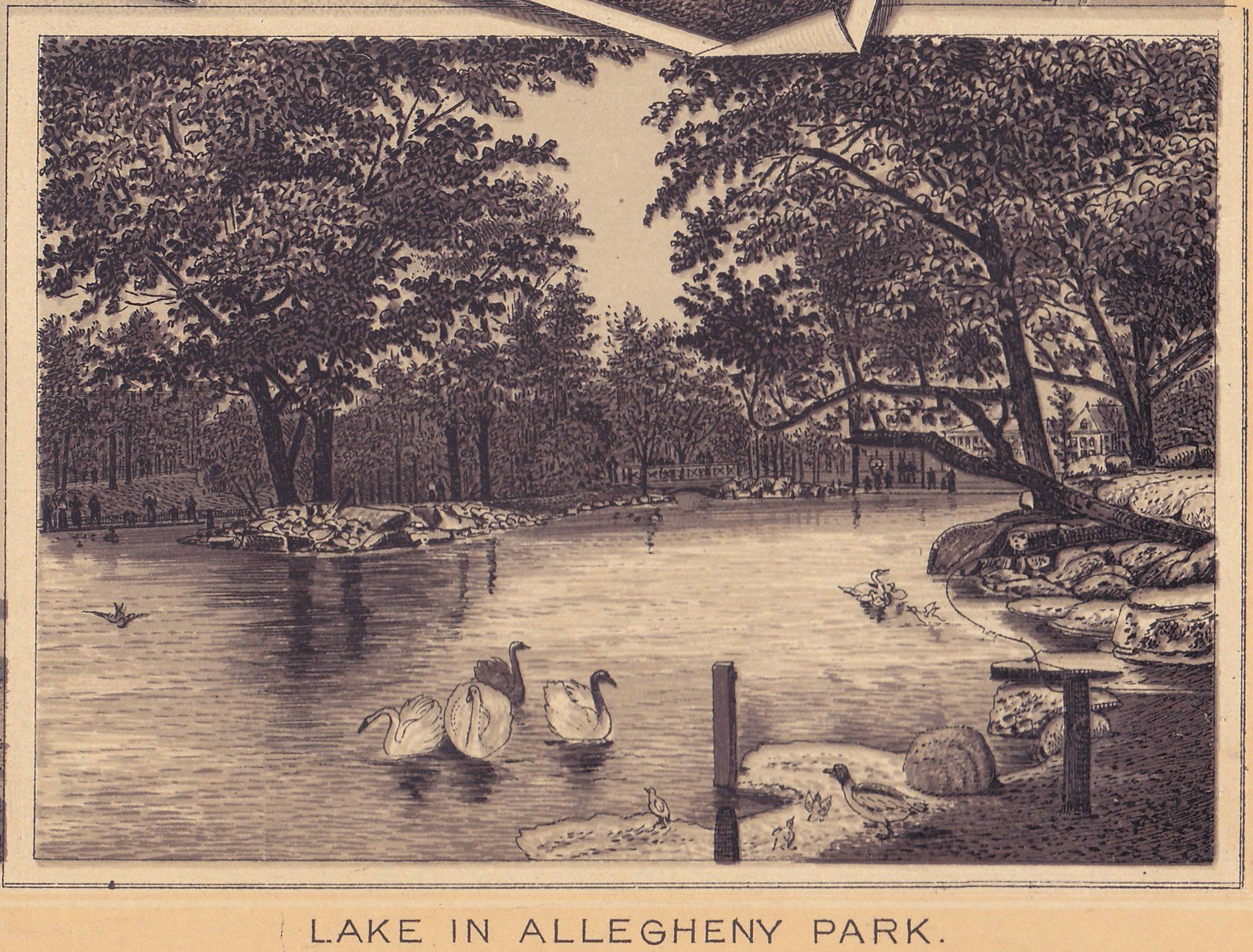 VIEWS IN ALLEGHENY PARK. LAKE IN ALLEGHENY PARK.