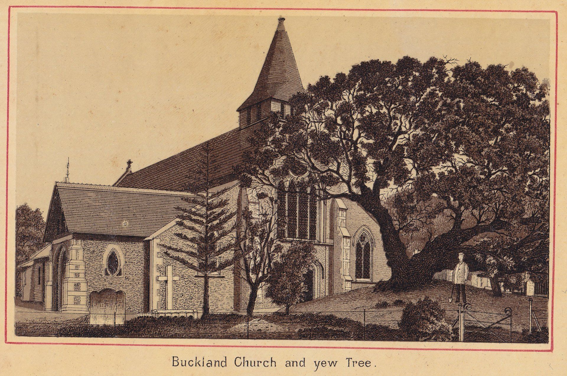 Buckland Church and yew Tree.