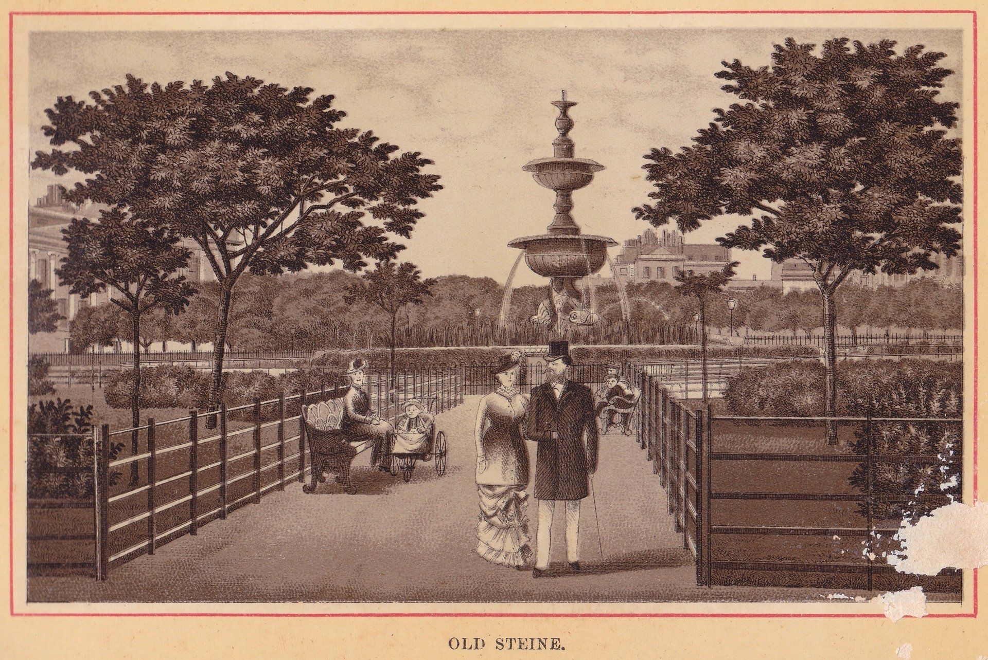 OLD STEINE.