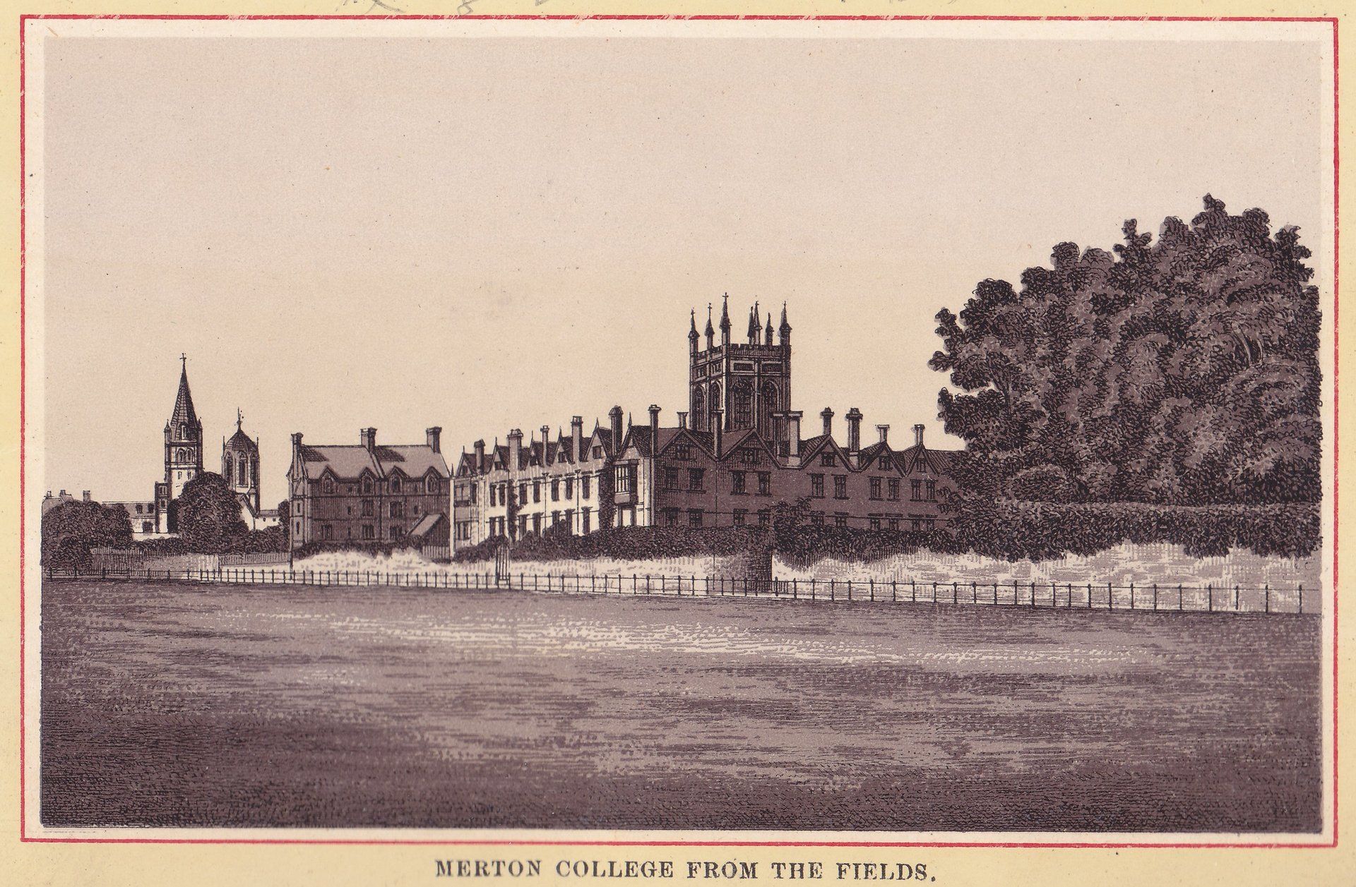 MERTON COLLEGE FROM THE FIELDS.